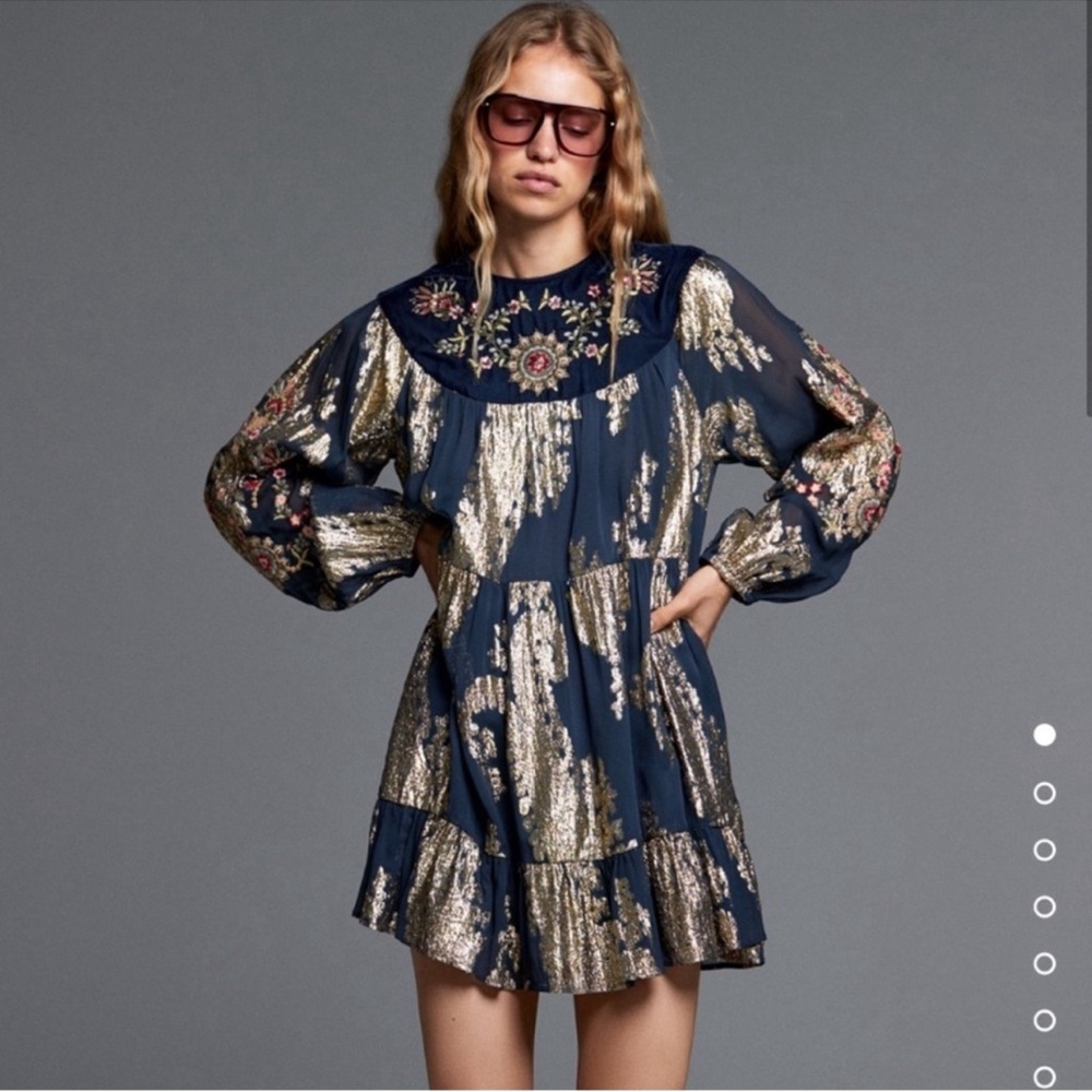 Zara MULTICOLORED EMBROIDERED VELVET DRESS